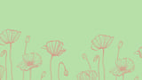 Hand drawn flowers